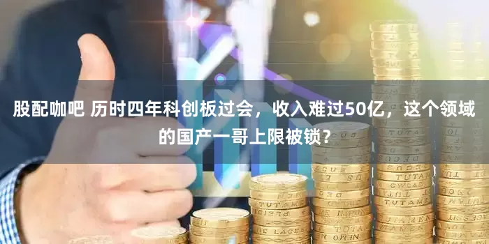 股配咖吧 历时四年科创板过会，收入难过50亿，这个领域的国产一哥上限被锁？
