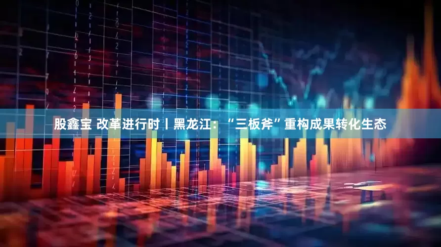 股鑫宝 改革进行时丨黑龙江：“三板斧”重构成果转化生态