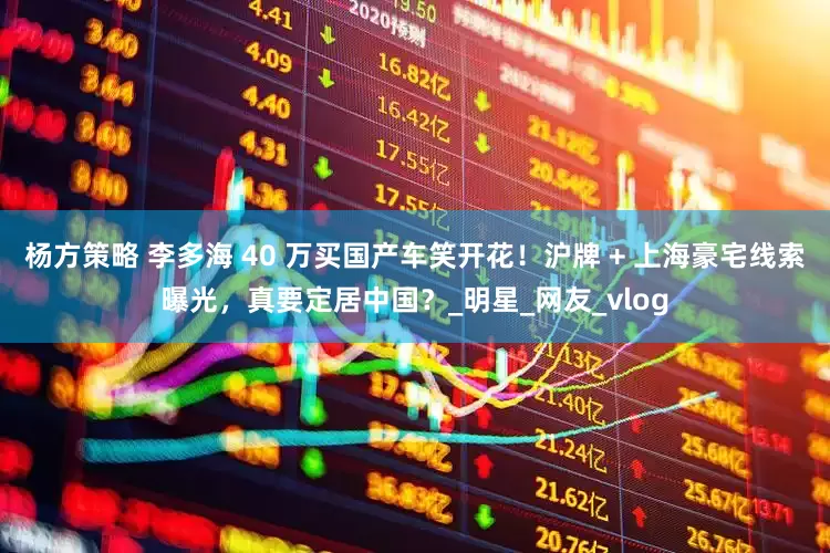 杨方策略 李多海 40 万买国产车笑开花！沪牌 + 上海豪宅线索曝光，真要定居中国？_明星_网友_vlog