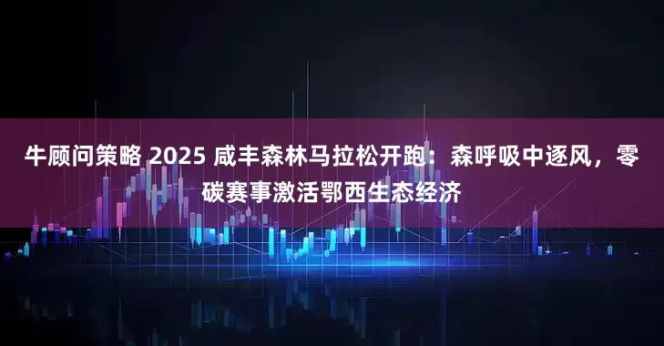 牛顾问策略 2025 咸丰森林马拉松开跑:森呼吸中逐风,零碳赛事激活鄂西生态经济