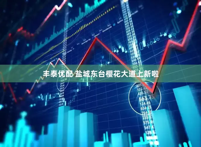 丰泰优配 盐城东台樱花大道上新啦